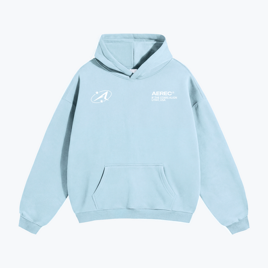 "BRUNETTES HAVE MORE FUN" HEAVYWEIGHT CLASSIC HOODIE - LIGHT BLUE
