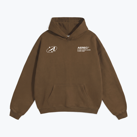 "BRUNETTES HAVE MORE FUN" HEAVYWEIGHT CLASSIC HOODIE - BROWN